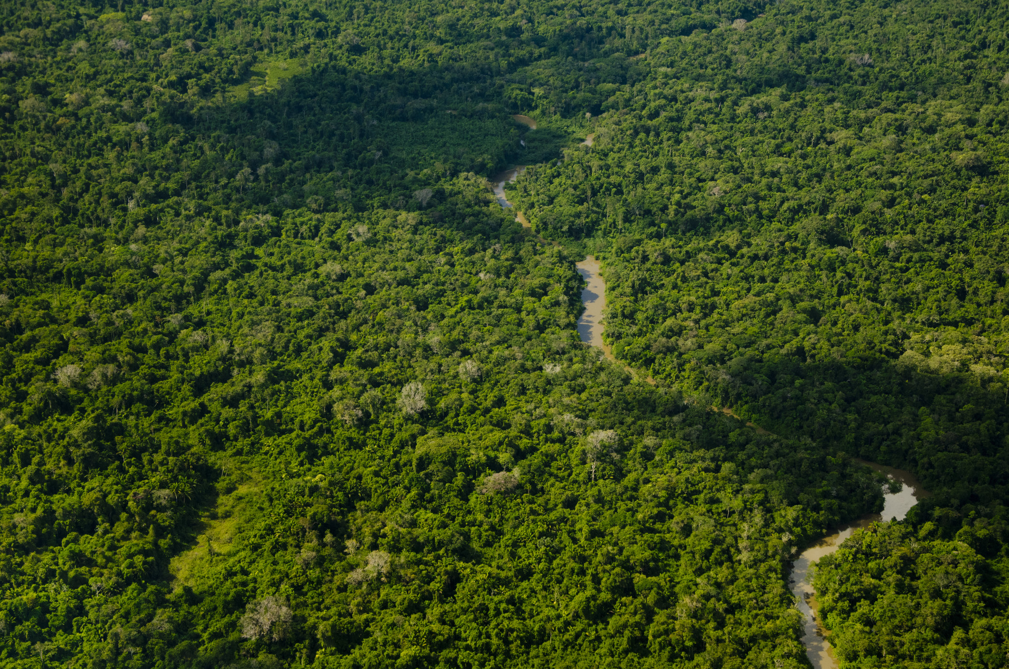 Aerial view of the Amazon rainforest on the upper Rio Catrimani, on the border of the states of Roraima and Amazonas. The largest indigenous reserve on Earth with just over 10 million hectares @Edson Sato