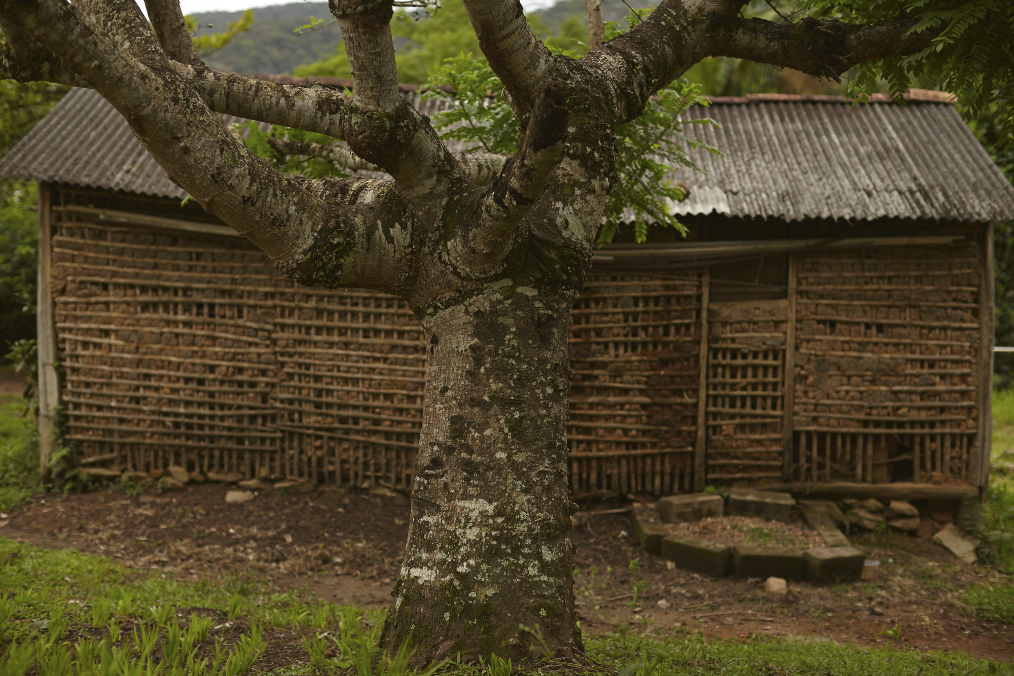 Wooden house in Quilombo de Ivaporunduva @Loiro Cunha / ISA