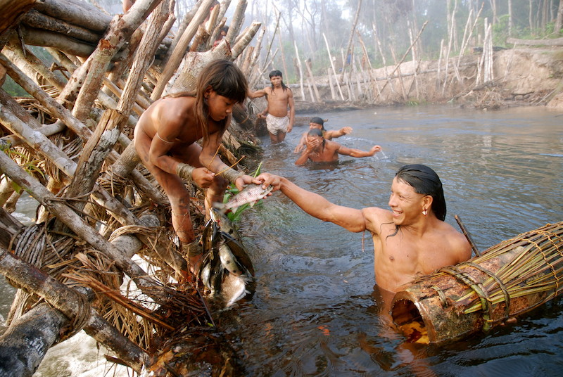 Fishing during the Yaõkwá, a 7-month ritual held annually by the Enawenê Nawê and registered as a cultural heritage of Brazil by Iphan (Institute of National Historic and Artistic Heritage). Fishing, an important part of the ritual, is threatened by plans to build hydroelectric dams on the Juruena River, jeopardizing the physical and cultural survival of this people. Enawenê Nawê Indigenous Land, Mato Grosso @Vincent Carelli / Video in the Villages