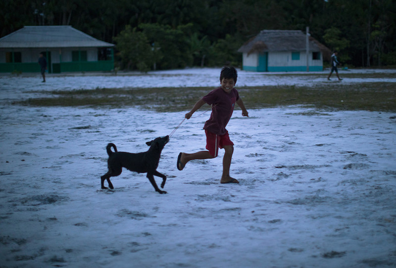 A Baniwa child plays with his dog in the Canadá community, in the Alto Rio Negro Indigenous Land (AM), near the Ayari River @Carol Quintanilha / ISA