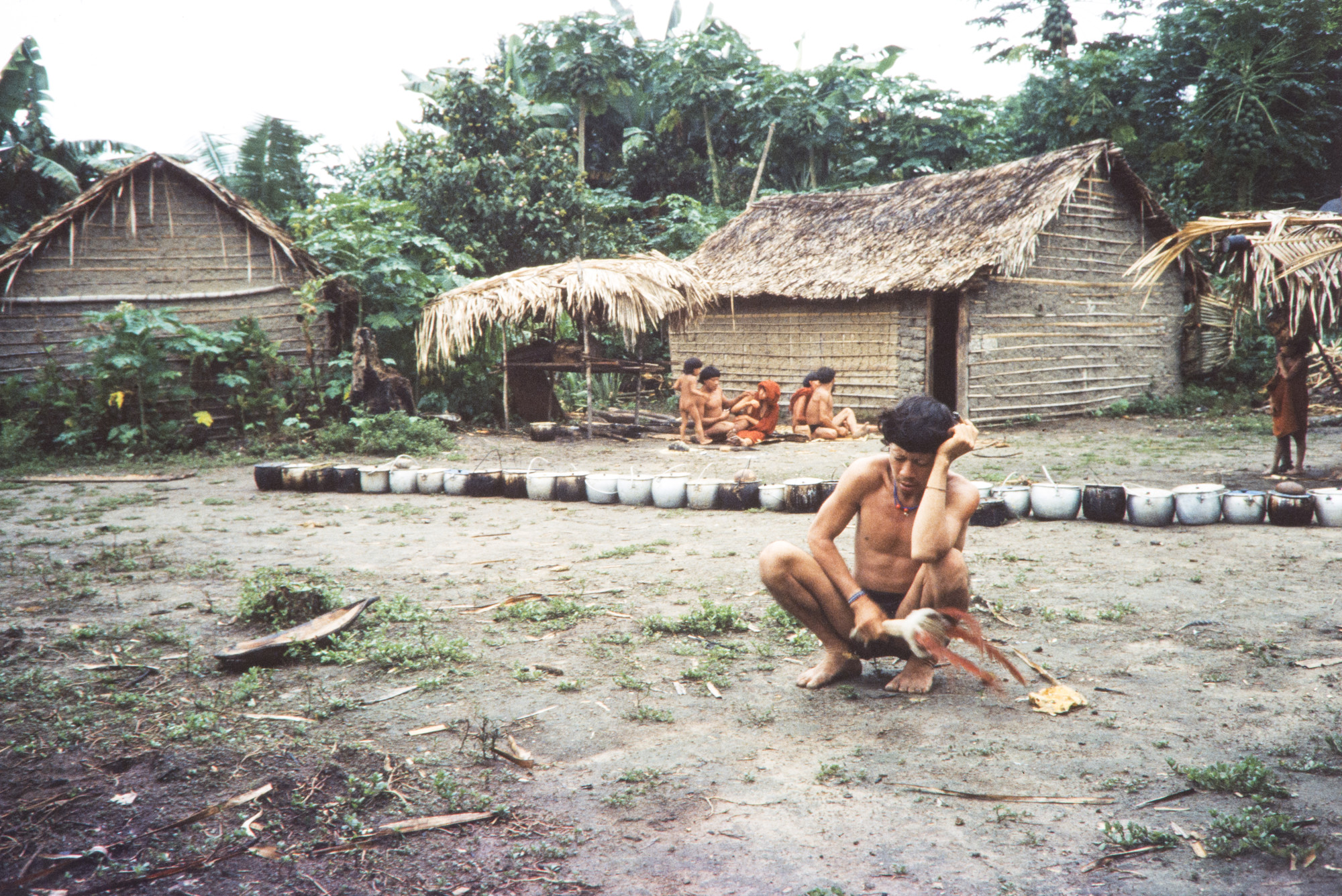 Araweté with the aray, a rattle used by adult men for small cures, nocturnal chants and shamanic rituals usually accompanied by the "tobacco eaters" cigar, Araweté Indigenous Land/Igarapé Ipixuna, Pará @Eduardo Viveiros de Castro