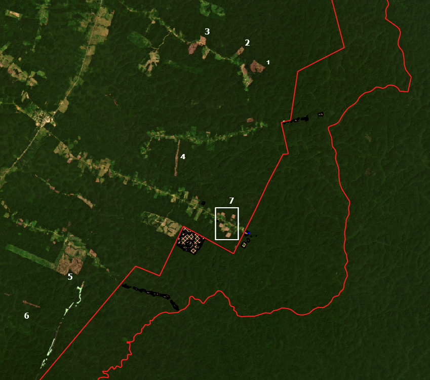 Alertas de desmatamento registrados no entorno da TI Pirititi, localizados a menos de 2 km do limite da TI. Fonte: ISA (2022)/Imagens PLANET.
