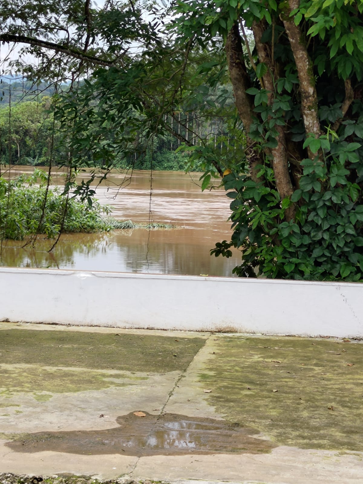 Margem do rio se aproxima da via no município|Frederico Viegas/ISA