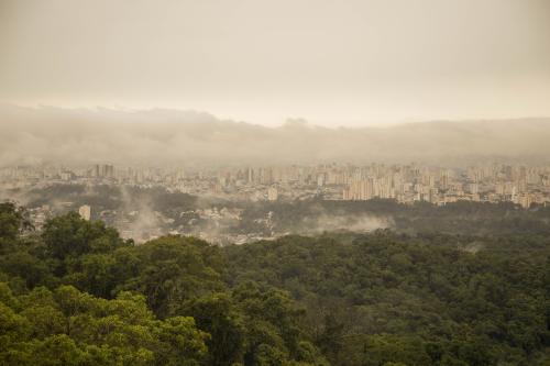 Atlantic Forest is the most deforested biome in the country. Cantareira State Park (SP) | Marcos Leone / ICLEI South America