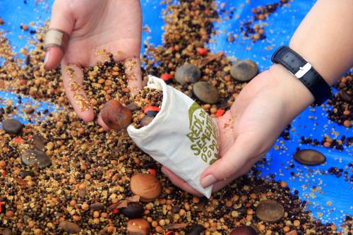 Ribeira Valley Seed Network