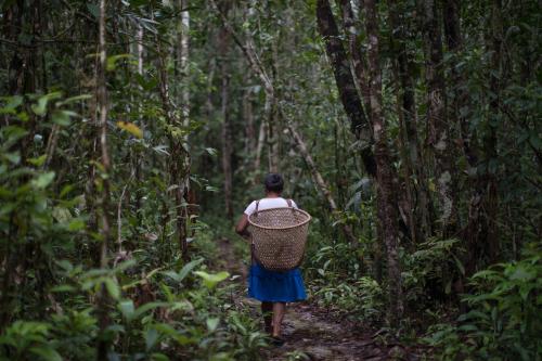 Dona Nazária Mandú Lopes no caminho em direção a sua roça de pimenta, próxima à comunidade Canadá, no Rio Ayari, Terra Indígena Alto Rio Negro (AM)