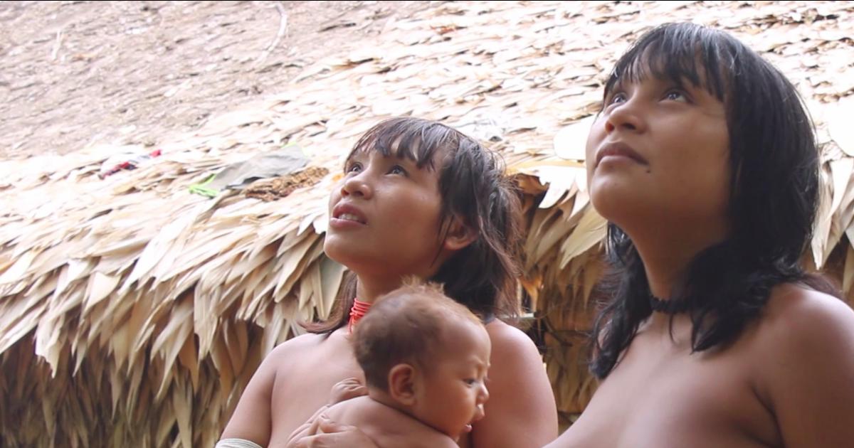 yamanomi woman Yanomami woman | Ronald de Hommel Archive