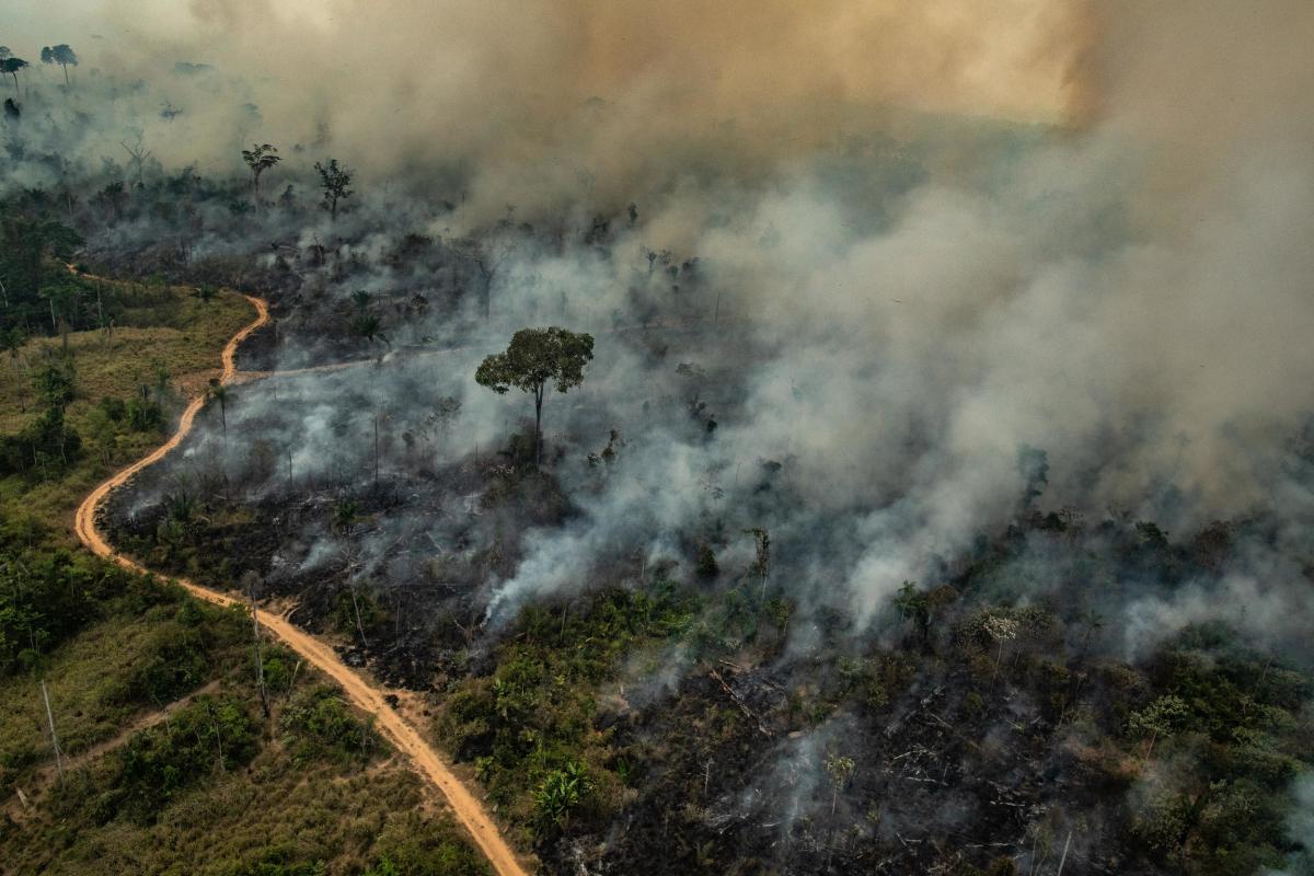 Queimada na Floresta Amazônica, em 2019. / Victor Moriyama / Greenpeace
