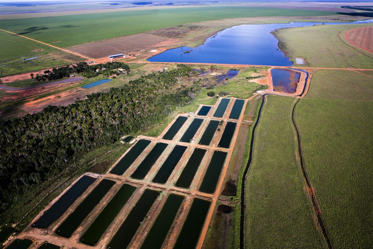 Alguns dos projetos que ameaçam o Código Florestal no Congresso facilitam o desmatamento em áreas de preservação para obras de irrigação. Disputa pela água já chegou no Legislativo. Represa e reservatórios construídos em APP | Tom Koene