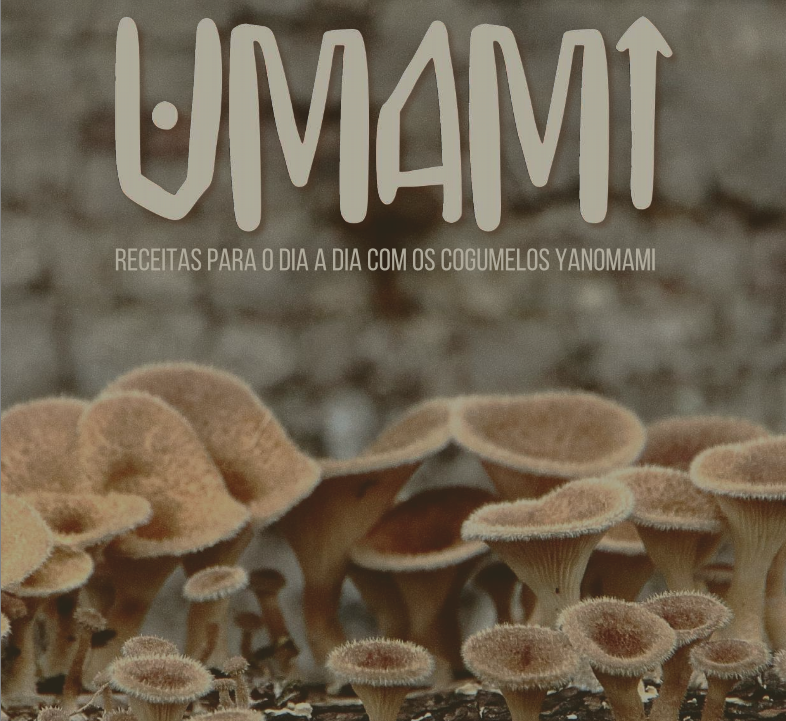 Cogumelos  Centro de Informações Umami