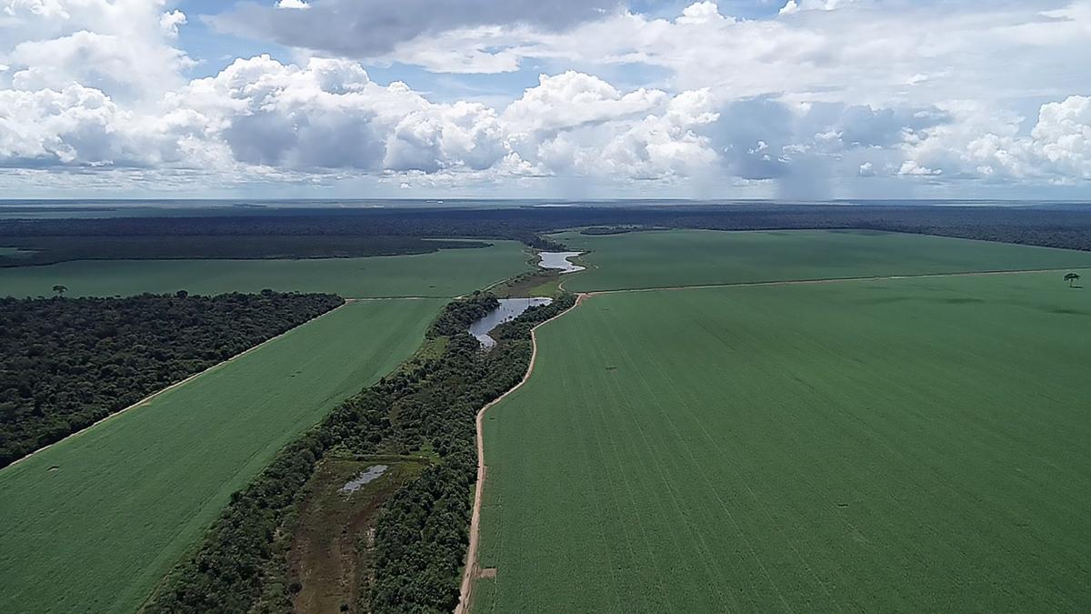 Para pesquisadores e ambientalistas, alterações no Código Florestal estimula descumprimento da lei e desmatamento. Propriedade rural no Mato Grosso | Ricardo Abad / ISA