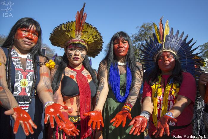 Marcha das Mulheres Indígenas em 2019 (Créditos: Katie Mahler / APIB)