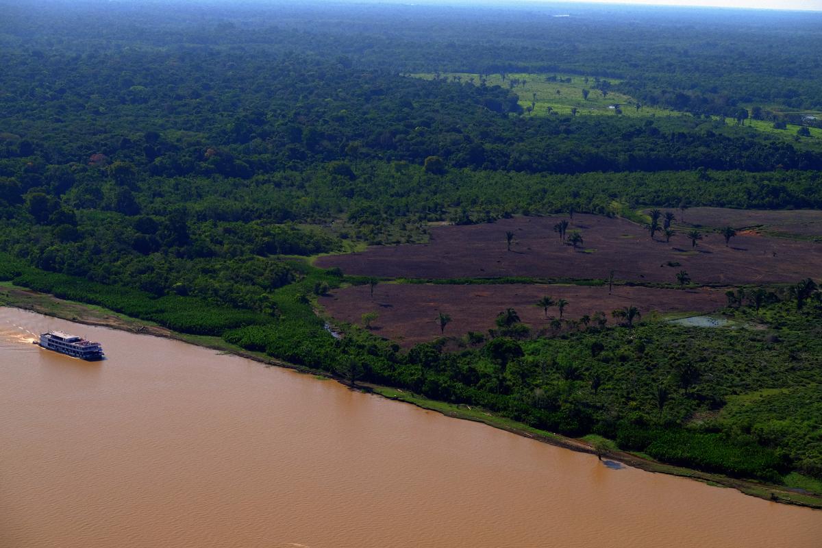 Deforested area in the municipality of Nova Olinda do Norte, in Amazonas, close to the Indigenous Lands of the Mura people