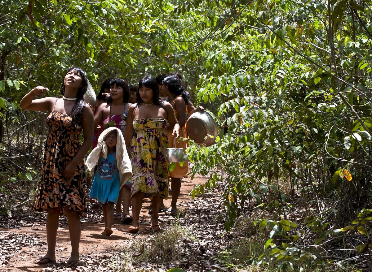 Women and children on a trail through the forest surrounding Ikpeng village, looking for trees with seeds