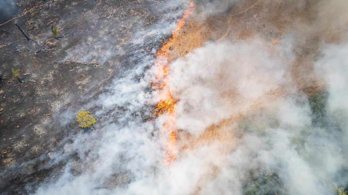 Focos de incêndio ao longo da vicinal Paraná, via de acesso à Terra Indígena Bau, do povo Kayapó
