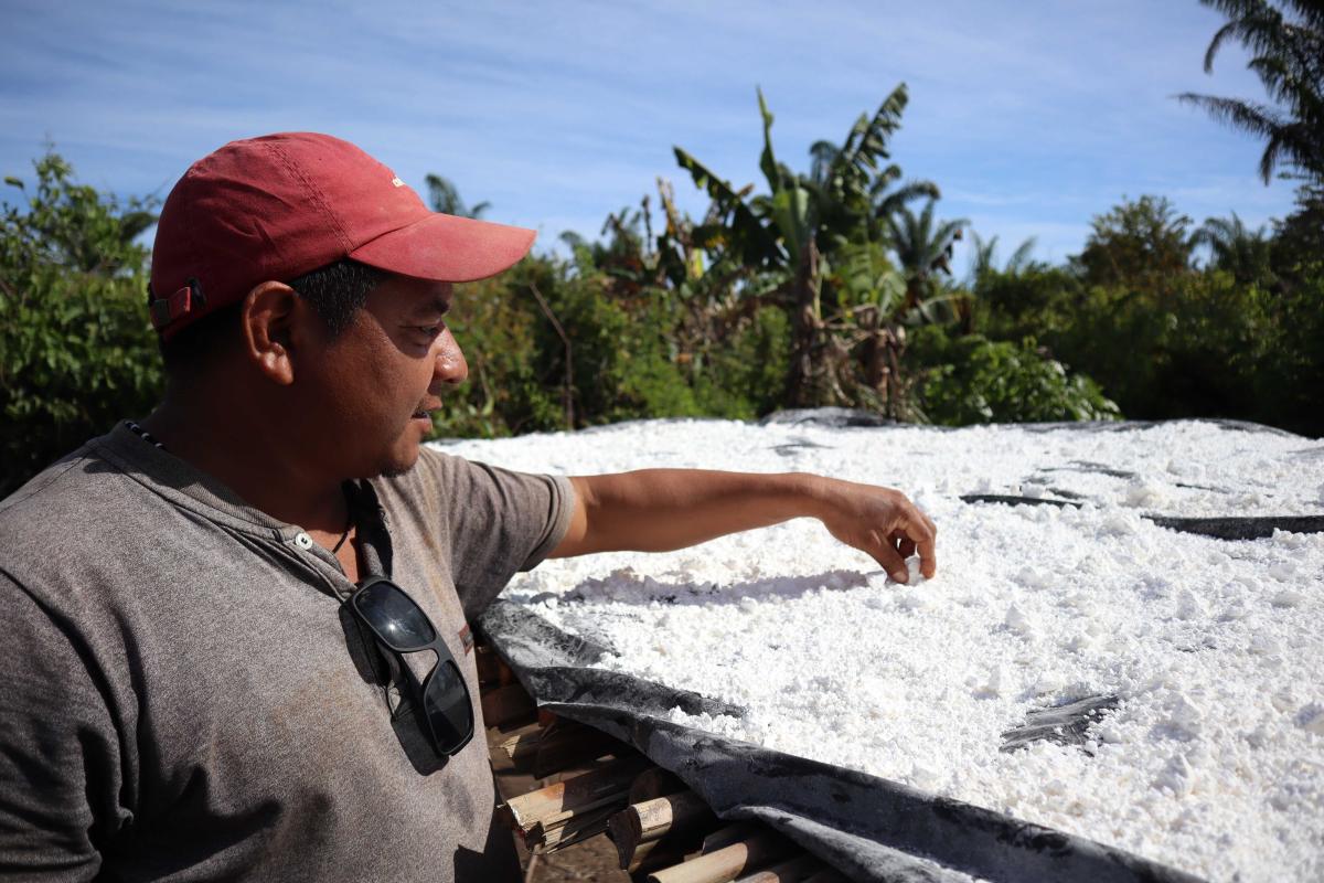 Yaiku Tapayuna mostra o beiju produzido a partir da mandioca de sua roça tradicional | Clara Roman / ISA