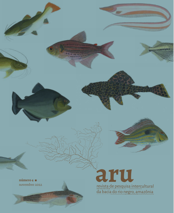 Capa da revista Aru 4