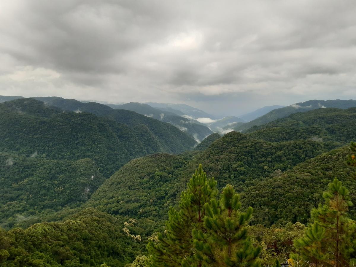 Vista do Parque Estadual Turístico do Alto Ribeira (PETAR)