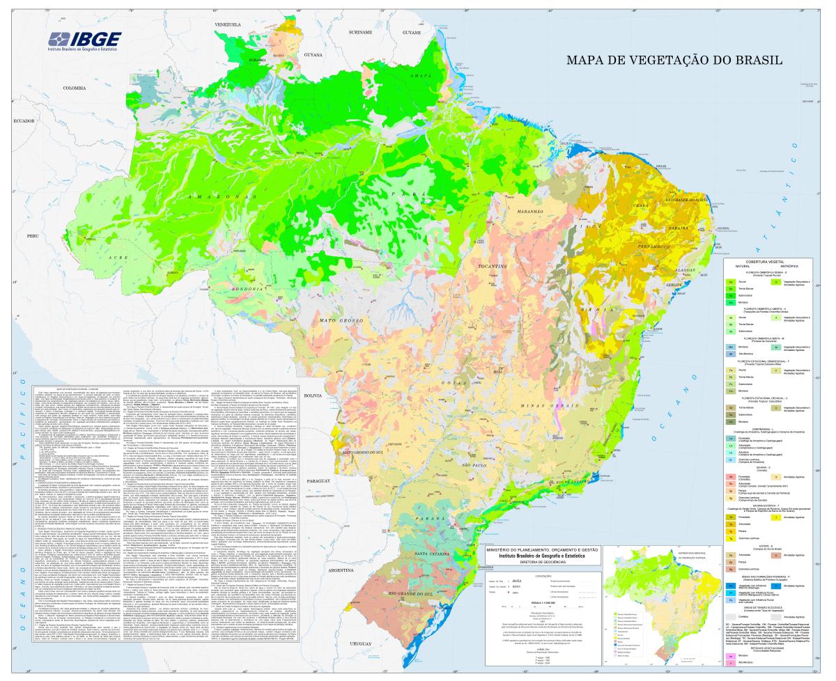 Brazil phytophysiognomies map | IBGE