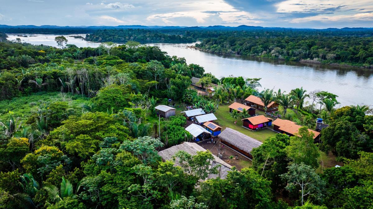 paisagem aérea da comunidade são francisco, riozinho do iriri