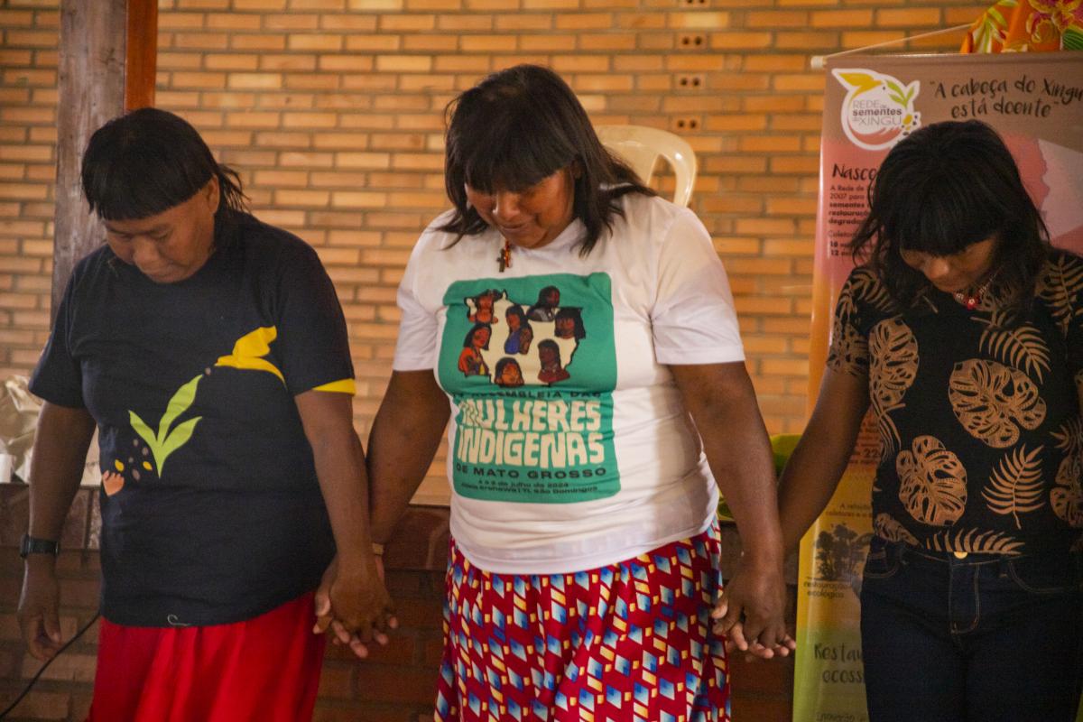 encontro da rede de sementes do xingu