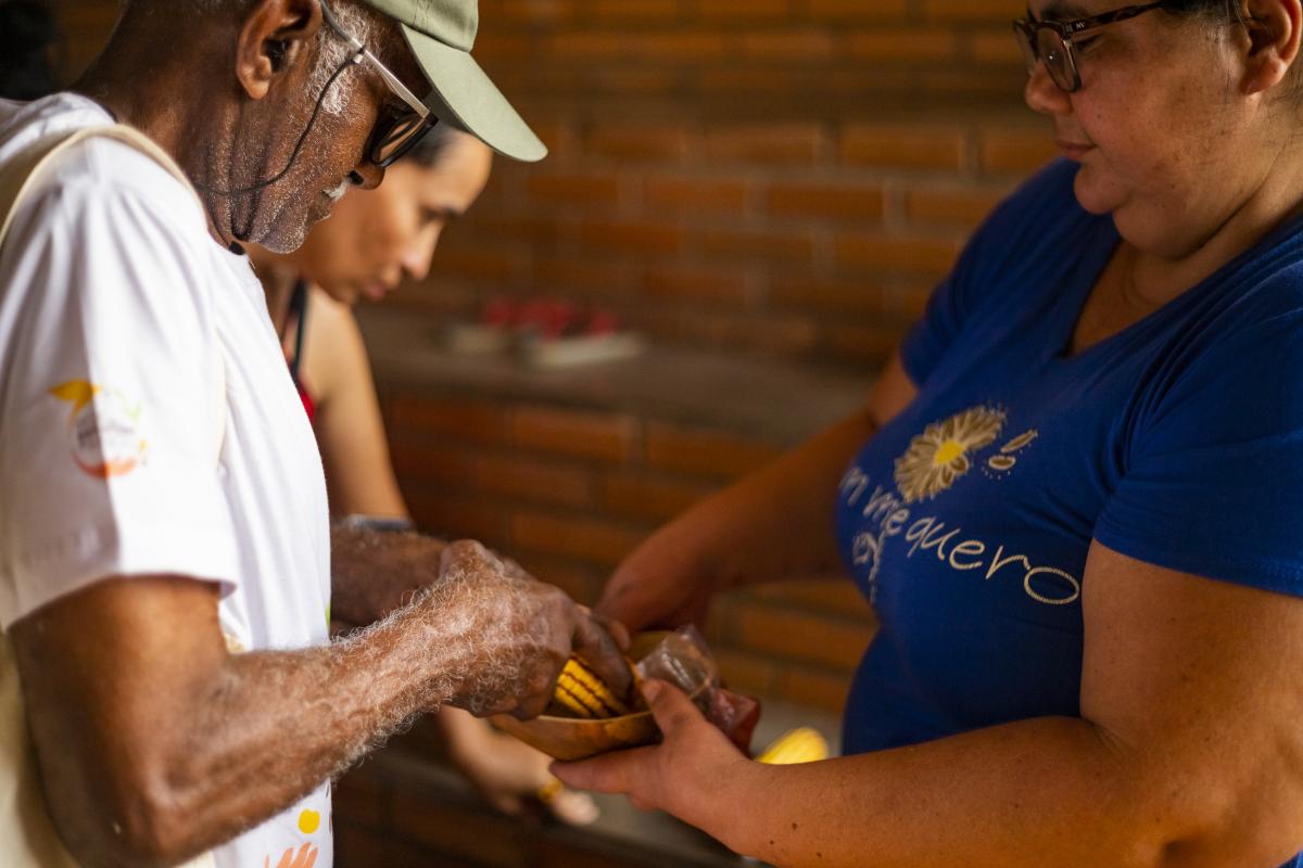 encontro da rede de sementes do xingu