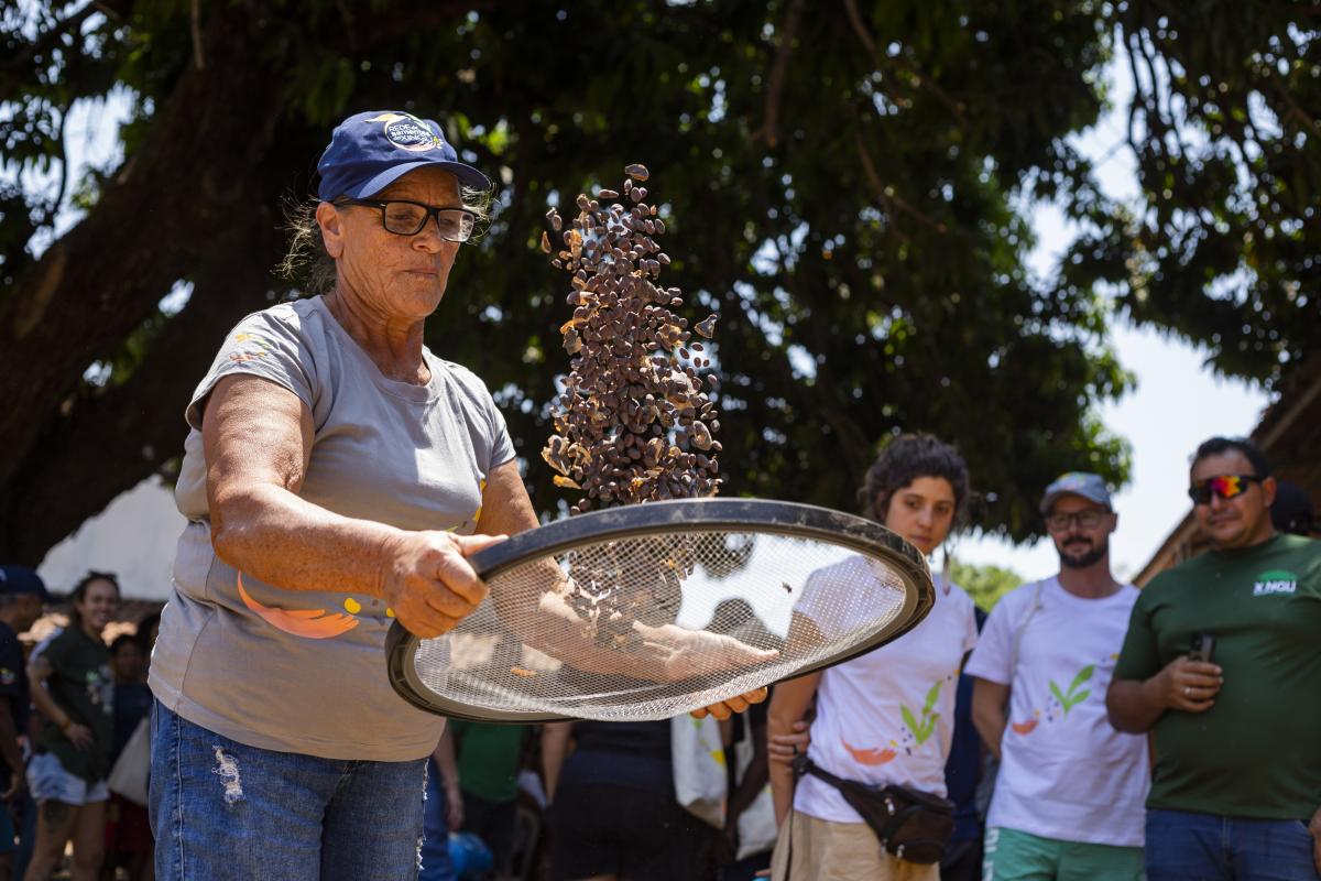 encontro da rede de sementes do xingu