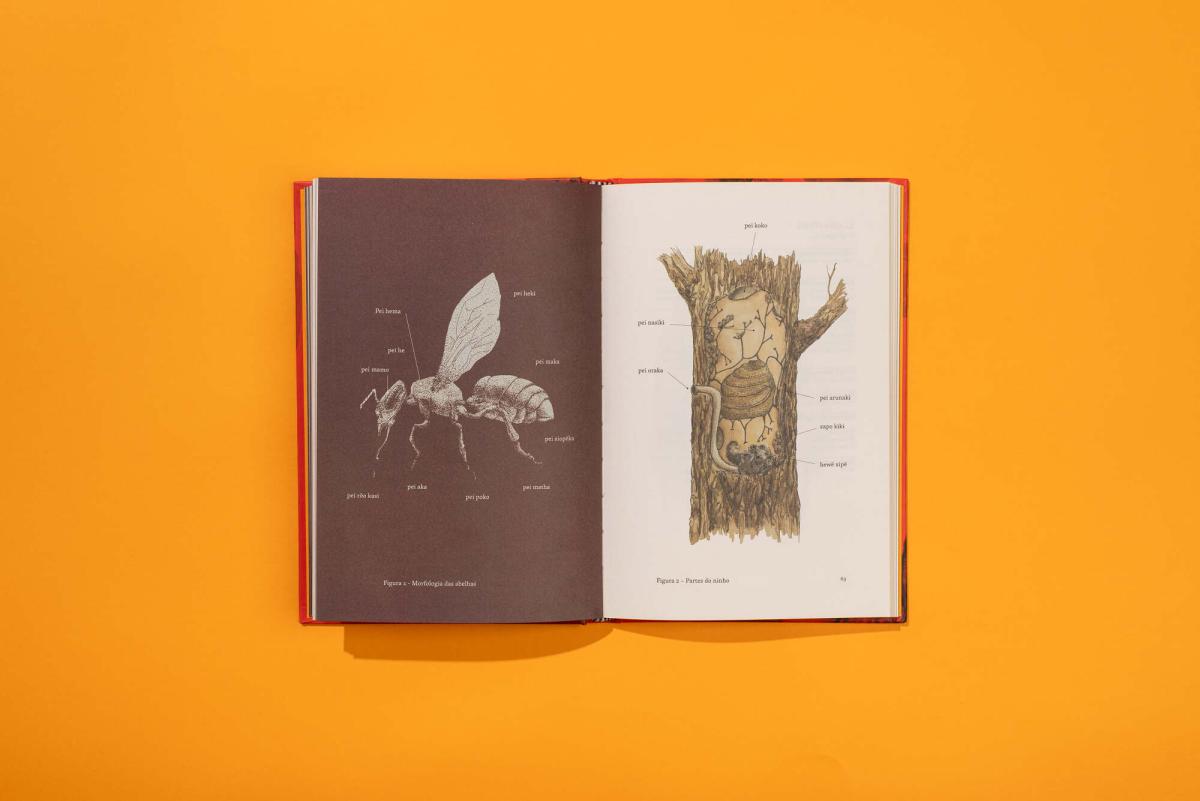 livro das abelhas