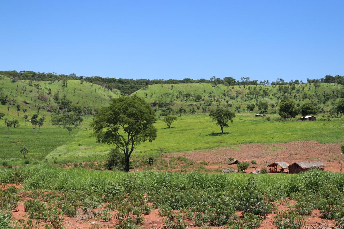 território guarani kaiowa