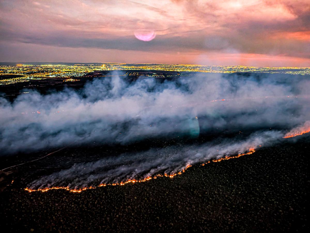 Parque Nacional de Brasília é atingido por incêndio | Ricardo Stuckert / PR