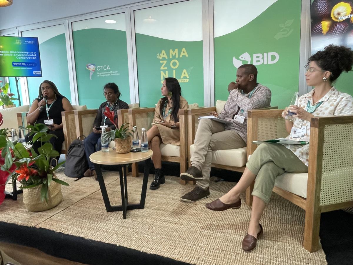 Painel “Economias quilombola e indígena como instrumentos de conservação da Amazônia”, promovido pelo Banco Interamericano de Desenvolvimento (BID) durante COP16.