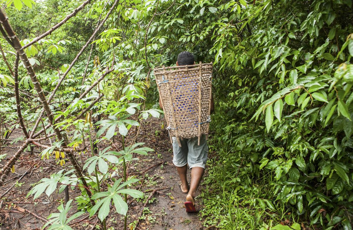 Homem aparece de costas caminhando no meio da floresta. Ele carrega um grande cesto por meio de uma faixa na cabeça