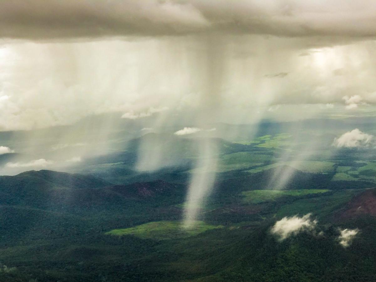 Chuva na floresta, região Mucajaí, Terra Indígena Yanomami (RR)