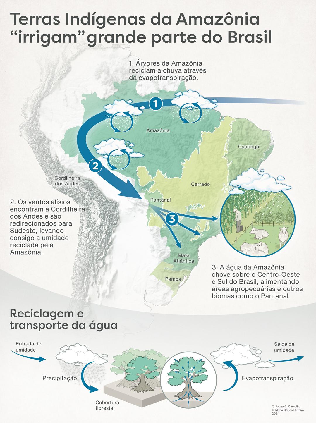 Mapa "Terras Indígenas da Amazônia 'irrigam' grande parte do Brasil" mostra o ciclo da água