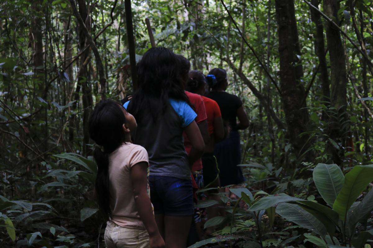 Ceramistas buscando a resina vegetal usada no acabamento das cerâmicas baniwa. Produção de cerâmicas durante o II encontro de ceramistas da União das Mulheres Indígenas do Rio Ayari (UMIRA), realizado em Santa Isabel do Ayari (AM)