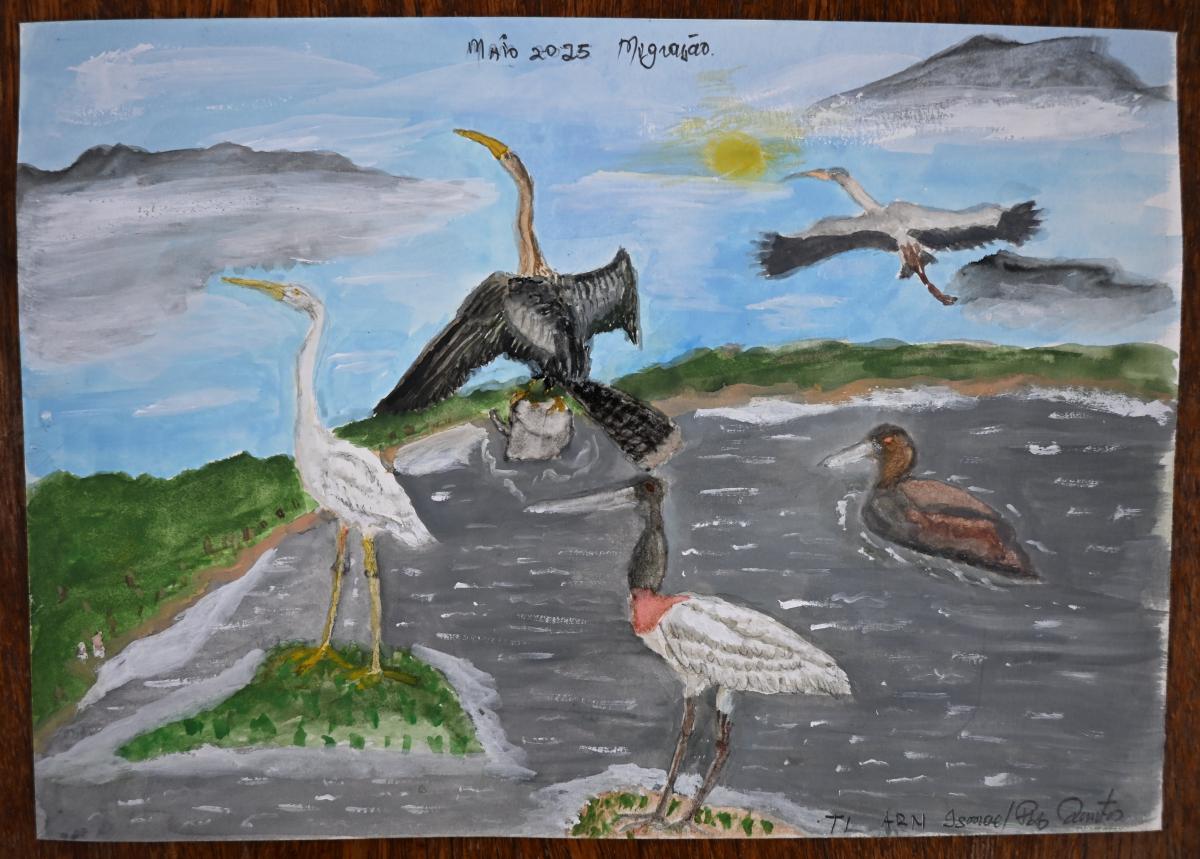Imagem mostra ilustração de aves do Rio Negro feita pelo AIMA Ismael do Santos 