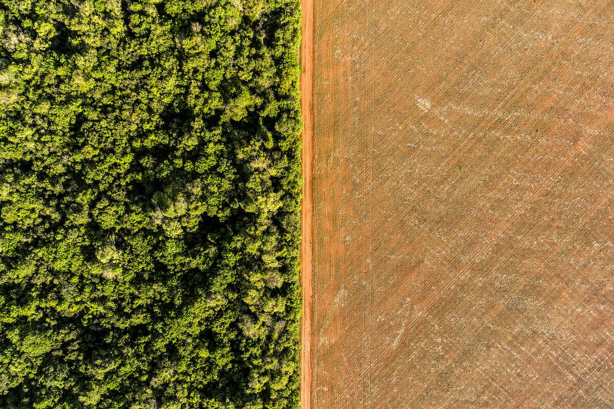 Vista aérea marca o contraste entre a floresta protegida no interior da aldeia Ngôjwêrê, na Terra Indígena Wawi, e uma porção de área desmatada para plantação de soja, em Querência, Mato Grosso