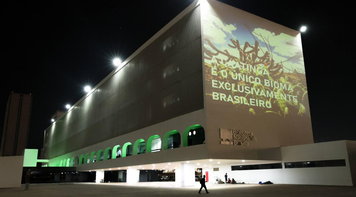 Projeção na Biblioteca Nacional de Brasília, em comemoração do Dia da Caatinga