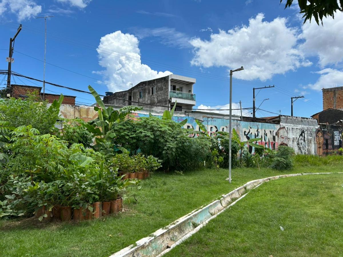 Foto mostra plantio na Praça Dorothy Stang