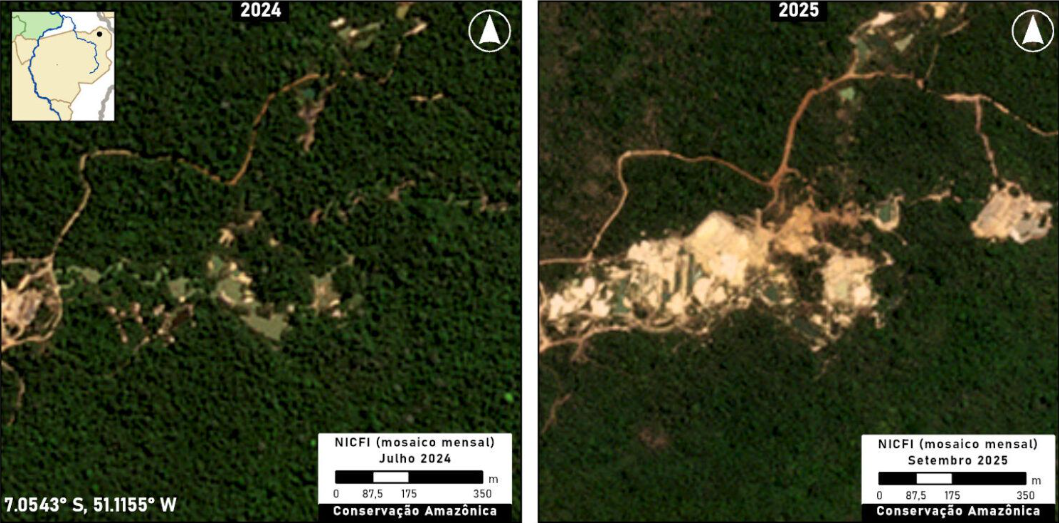 Imagem aérea mostra evolução do Garimpo na Terra Indígena Kayapó em 2024 e 2025