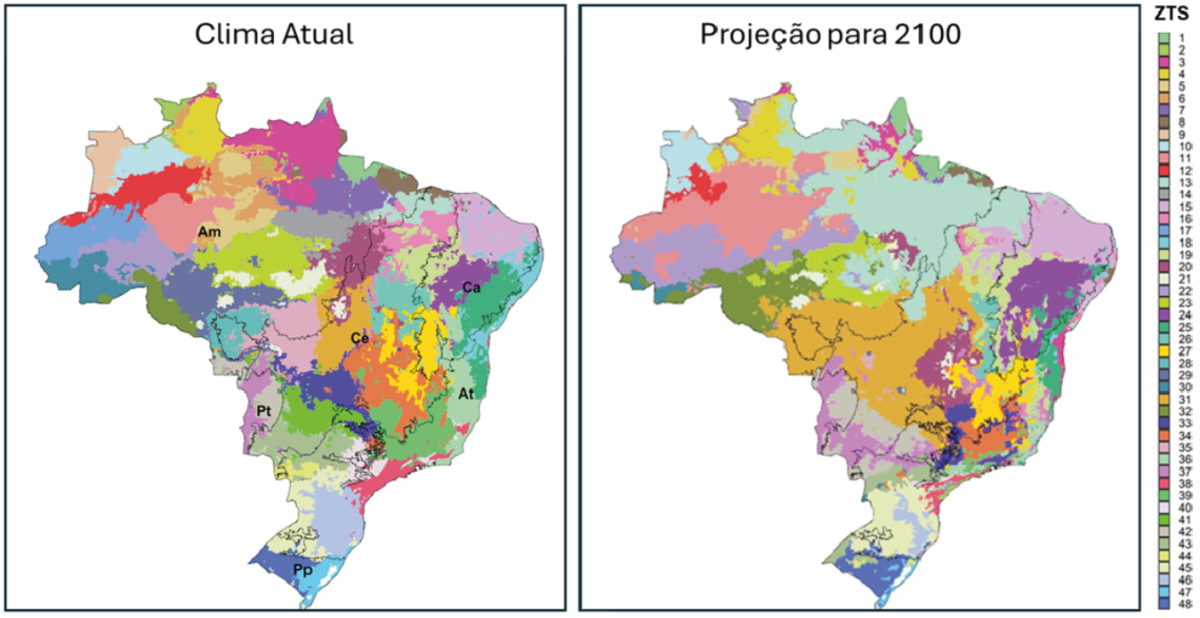 Zonas de Transferência de Semente (ZTS) conforme o clima atual e com a projeção do clima esperado para 2100, segundo o modelo MPI-ESM1.2-HR