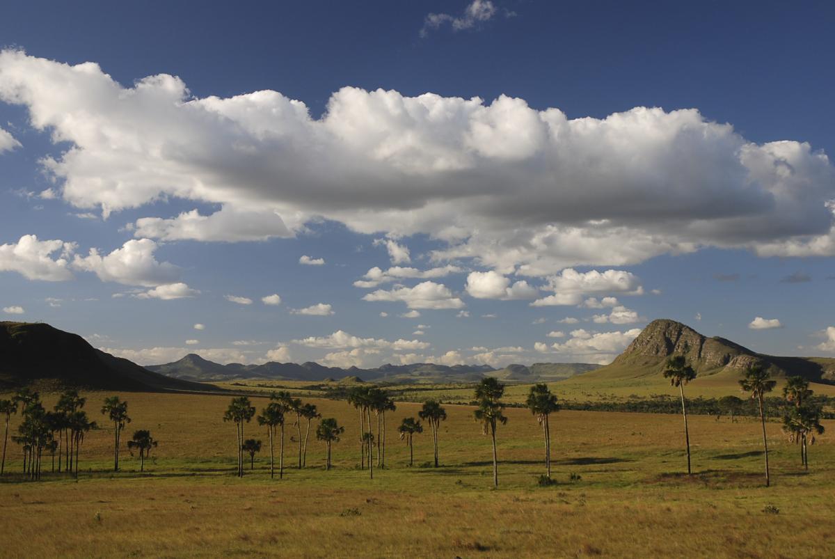 Os campos nativos prestam serviços ecossistêmicos fundamentais, como a recarga dos mananciais de água. Projeto ameaça essa vegetação em todo Brasil. Parque Nacional da Chapada dos Veadeiros (GO) | Raul do Valle / ISA