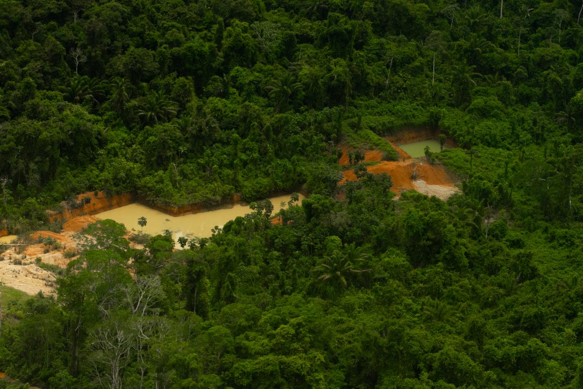 Imagem aérea mostra garimpo na floresta1