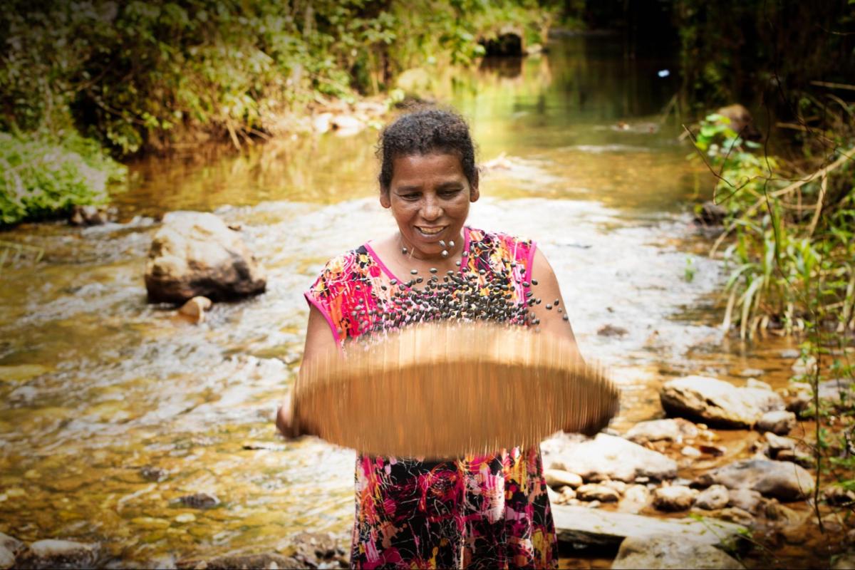 A  coletora quilombola Donária Messias dos Santos, também conhecida como Preta, lavando sementes no Quilombo Nhunguara, Eldorado, São Paulo. Ela faz parte da Rede de Sementes do Vale do Ribeira, que coleta sementes para restaurar a Mata Atlântica