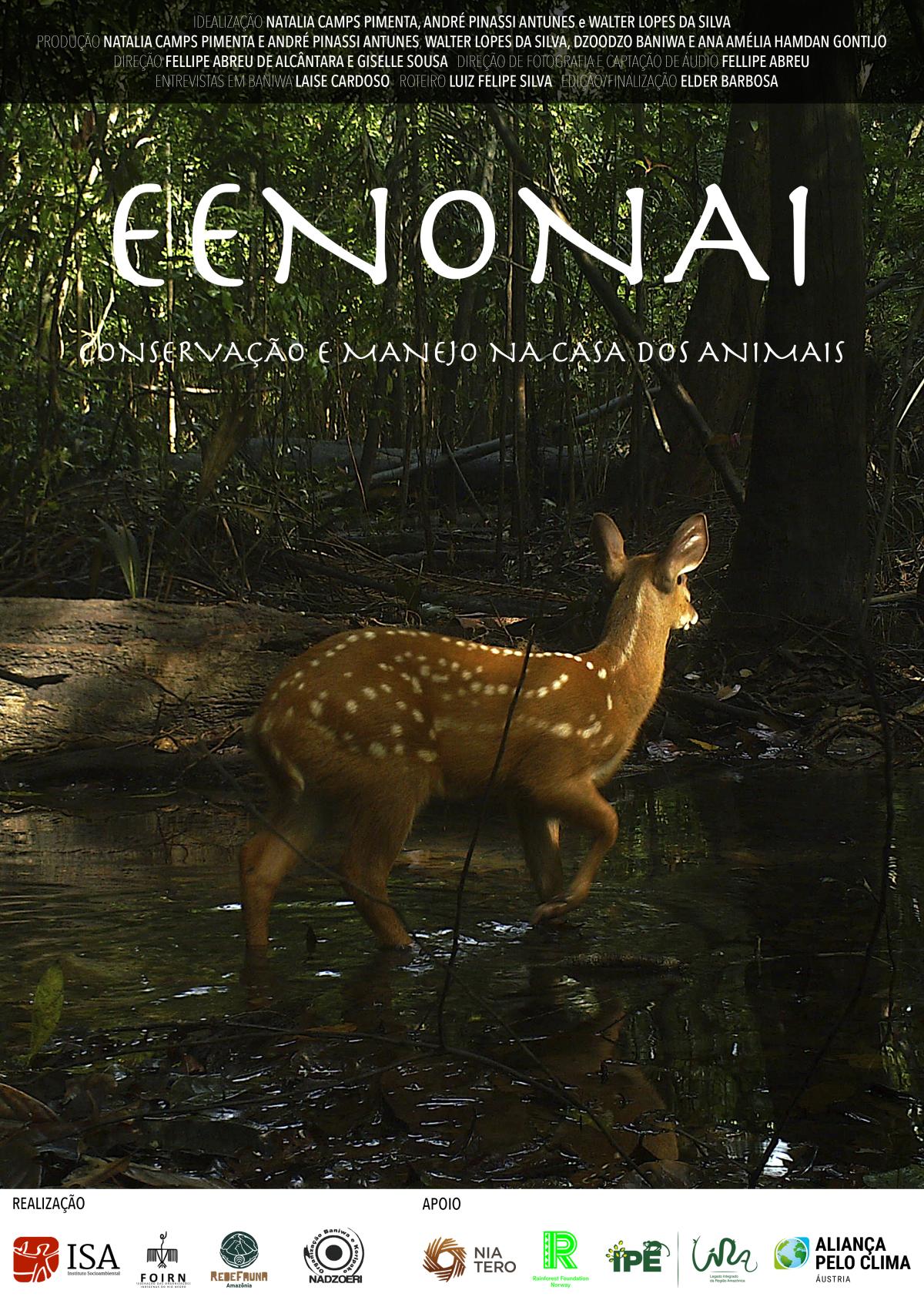 Cartaz do filme Eenonai