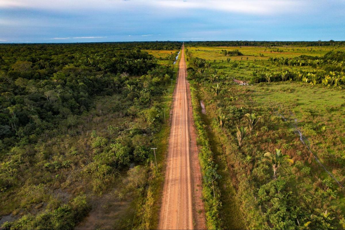 Vista aérea do trecho sem asfalto da BR-319, entre Humaitá e Realidade (AM)