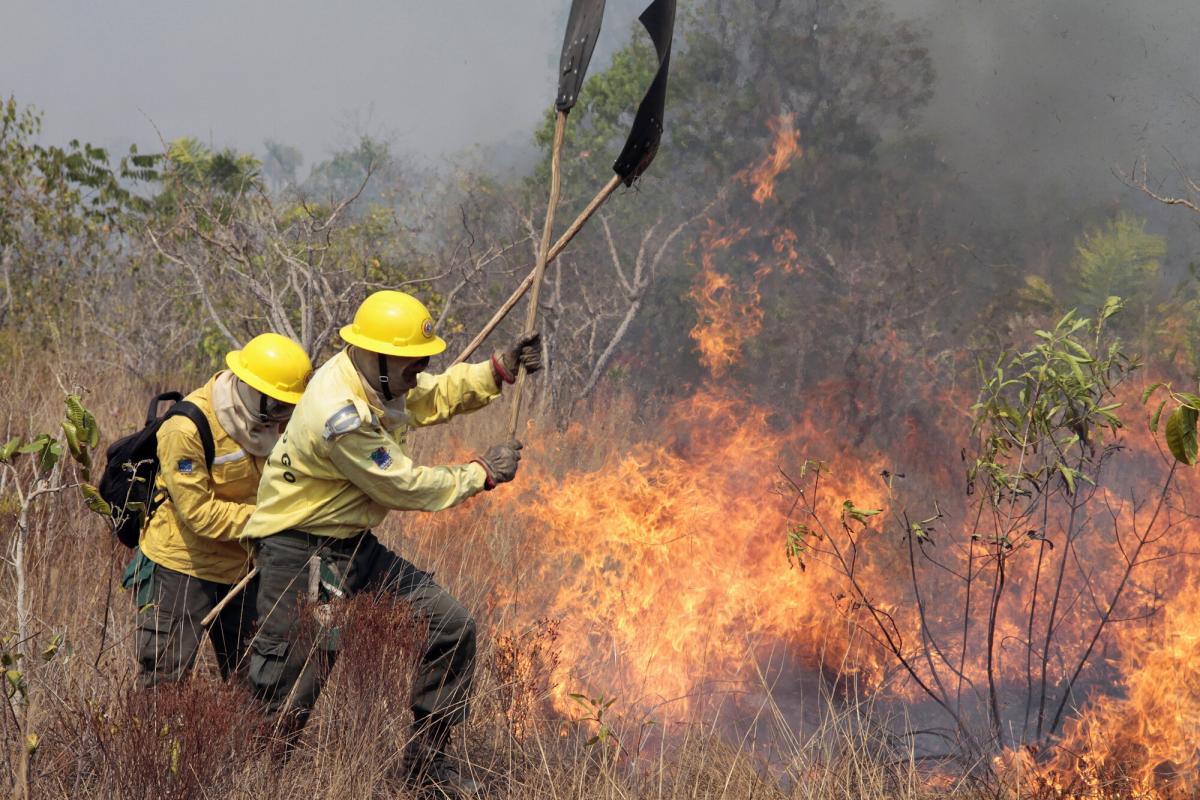Equipes do Centro Nacional de Prevenção e Combate aos Incêndios Florestais (Prevfogo) do Ibama trabalham para controlar incêndio florestal no Parque Indígena do Xingu, no Mato Grosso