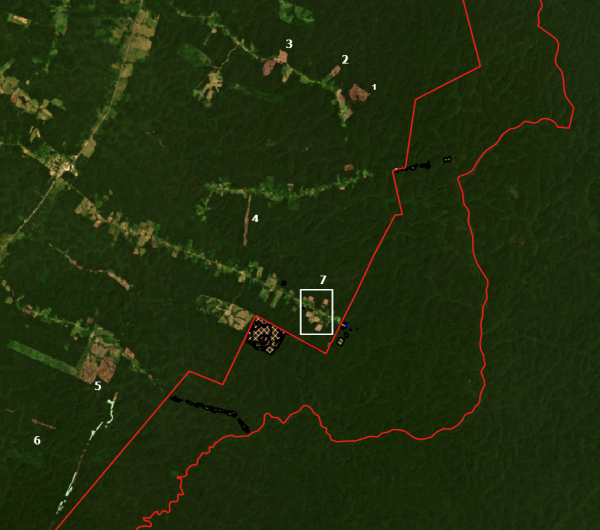 Alertas de desmatamento no entorno da TI Pirititi, a menos de 2 km do limite da área. Fonte: ISA (2022) / Imagens Planet