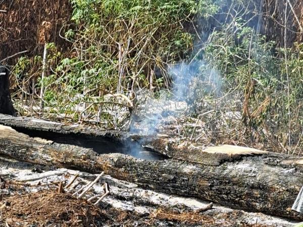 foco de fogo em roça