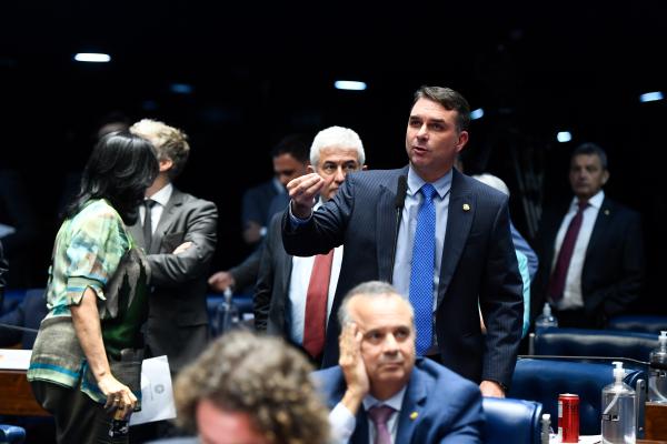 Apenas Flávio Bolsonaro votou contra o projeto no plenário | Roque de Sá / Agência Senado